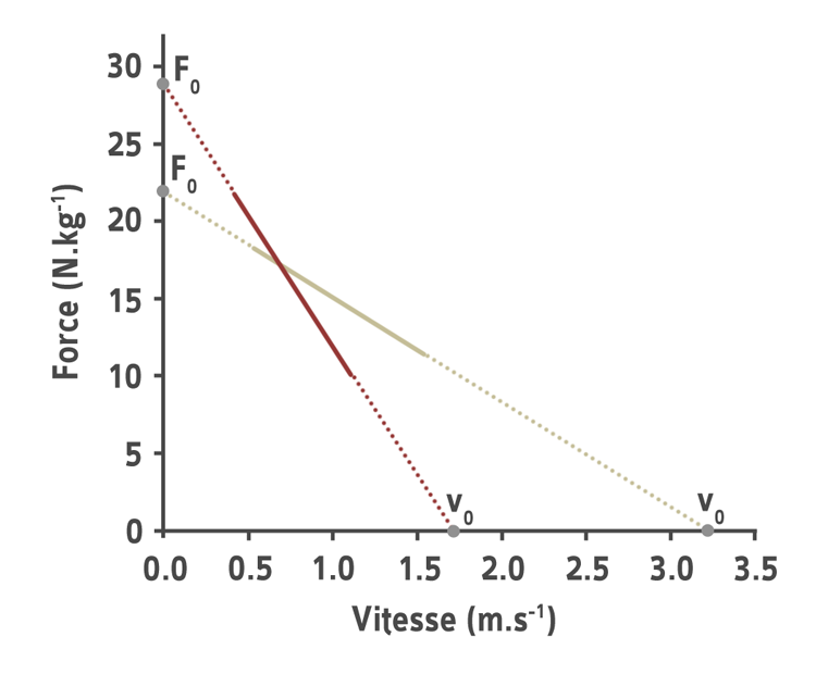 Graphique force vitesse